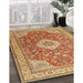 Traditional Mahogany Brown Persian Rug in Family Room, tr4702