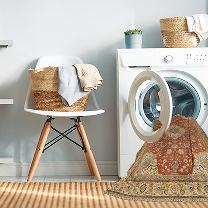 Machine Washable Traditional Mahogany Brown Rug in a Washing Machine, wshtr4702