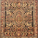 Square Traditional Sand Brown Persian Rug, tr4709