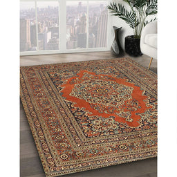 Traditional Dark Sienna Brown Medallion Rug in Family Room, tr4710