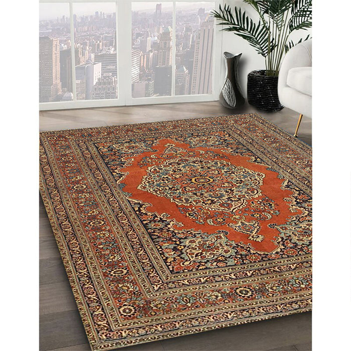 Traditional Dark Sienna Brown Medallion Rug in Family Room, tr4710