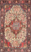 Traditional Brown Red Medallion Rug, tr4711