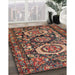 Traditional Saffron Red Medallion Rug in Family Room, tr4712