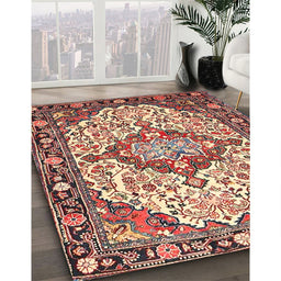 Traditional Brown Red Medallion Rug in Family Room, tr4722