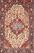 Traditional Brown Red Medallion Rug, tr4722