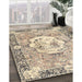 Machine Washable Traditional Dark Almond Brown Rug in a Family Room, wshtr4731