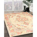 Machine Washable Traditional Khaki Gold Rug in a Family Room, wshtr4740