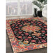 Traditional Orange Salmon Pink Medallion Rug in Family Room, tr4744