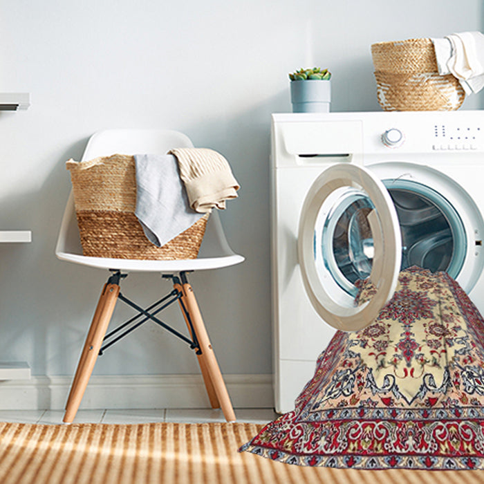 Machine Washable Traditional Brown Rug in a Washing Machine, wshtr4748