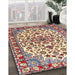 Traditional Brown Red Medallion Rug in Family Room, tr4749