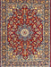 Traditional Saffron Red Oriental Rug, tr4750