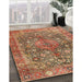 Traditional Sand Brown Medallion Rug in Family Room, tr4758