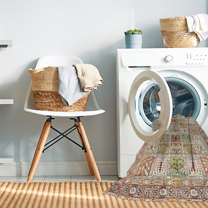 Machine Washable Traditional Brown Rug in a Washing Machine, wshtr4767