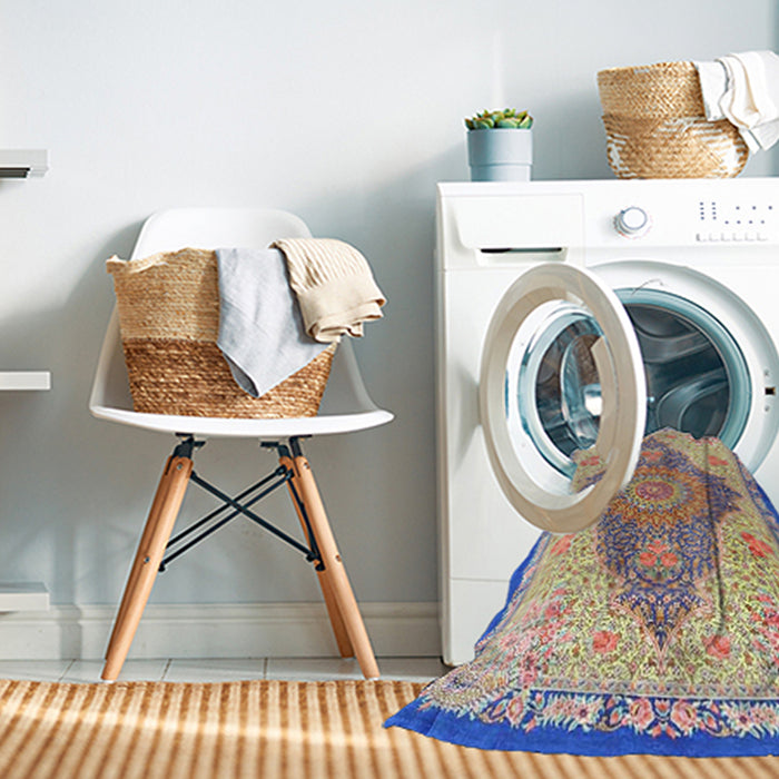 Machine Washable Traditional Brown Rug in a Washing Machine, wshtr4768