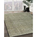 Machine Washable Traditional Sage Green Rug in a Family Room, wshtr476