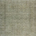 Square Traditional Sage Green Persian Rug, tr476