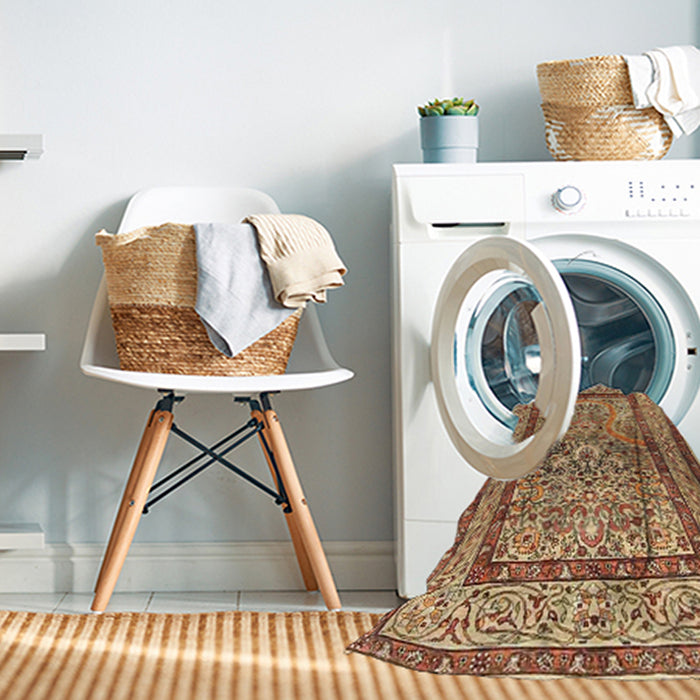 Machine Washable Traditional Mahogany Brown Rug in a Washing Machine, wshtr4773