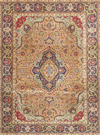 Machine Washable Traditional Sienna Brown Rug, wshtr4782