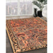 Traditional Dark Sienna Brown Oriental Rug in Family Room, tr4789