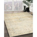 Traditional Golden Blonde Gold Persian Rug in Family Room, tr478