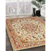 Machine Washable Traditional Brown Gold Rug in a Family Room, wshtr4790