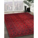 Machine Washable Traditional Red Rug in a Family Room, wshtr4794