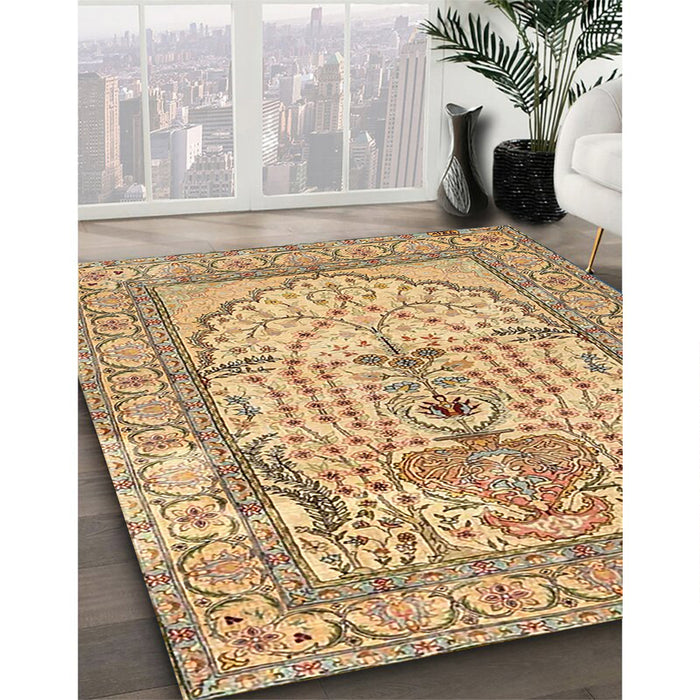 Traditional Light Brown Persian Rug in Family Room, tr4801