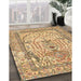 Traditional Light Brown Persian Rug in Family Room, tr4801