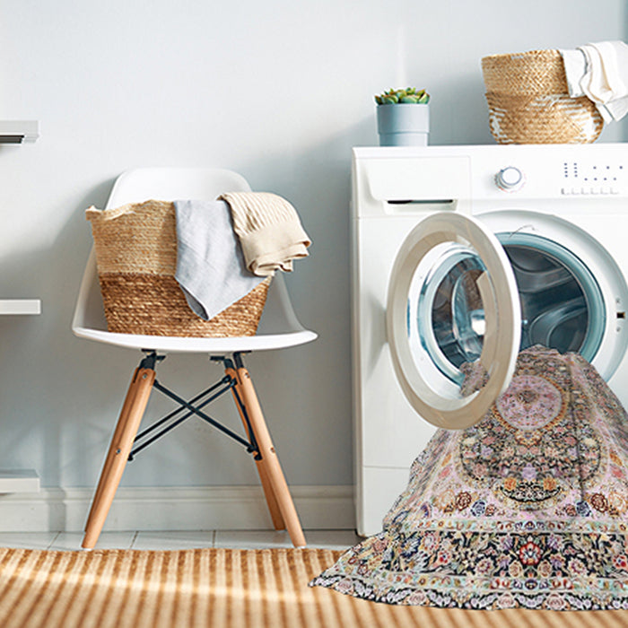 Machine Washable Traditional Brown Rug in a Washing Machine, wshtr4803