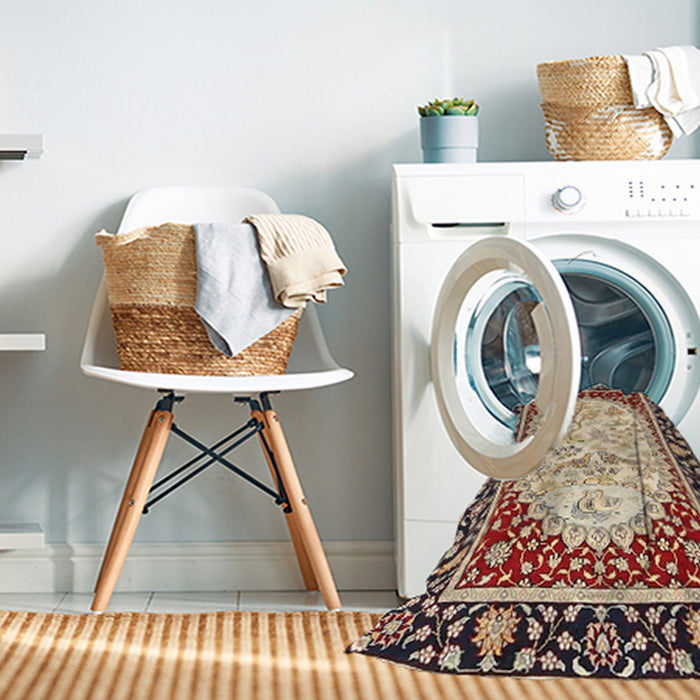 Machine Washable Traditional Brown Rug in a Washing Machine, wshtr4805