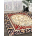 Traditional Brown Persian Rug in Family Room, tr4805