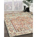 Traditional Orange Salmon Pink Persian Rug in Family Room, tr4807