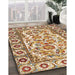 Machine Washable Traditional Mahogany Brown Rug in a Family Room, wshtr4810