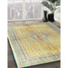 Traditional Copper Green Medallion Rug in Family Room, tr4812