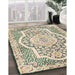 Machine Washable Traditional Gold Rug in a Family Room, wshtr4813