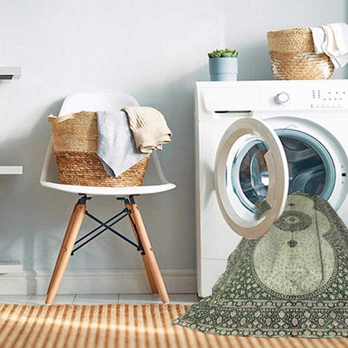 Machine Washable Traditional Tan Brown Rug in a Washing Machine, wshtr4816