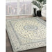 Traditional Gunmetal Gray Medallion Rug in Family Room, tr481