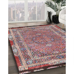 Traditional Brown Red Persian Rug in Family Room, tr4823