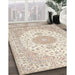 Traditional Camel Brown Medallion Rug in Family Room, tr482