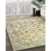 Machine Washable Traditional Khaki Gold Rug in a Family Room, wshtr4832