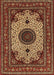 Traditional Brown Medallion Rug, tr485