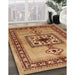 Machine Washable Traditional Mahogany Brown Rug in a Family Room, wshtr486