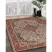 Traditional Red Medallion Rug in Family Room, tr490