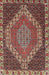 Machine Washable Traditional Dark Almond Brown Rug, wshtr492