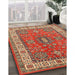 Traditional Red Persian Rug in Family Room, tr497