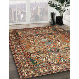 Traditional Brown Persian Rug in Family Room, tr501