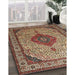 Traditional Brownish Green Medallion Rug in Family Room, tr502