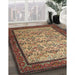 Traditional Metallic Gold Persian Rug in Family Room, tr505