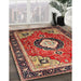 Traditional Saffron Red Medallion Rug in Family Room, tr514