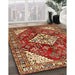 Traditional Sand Brown Medallion Rug in Family Room, tr520